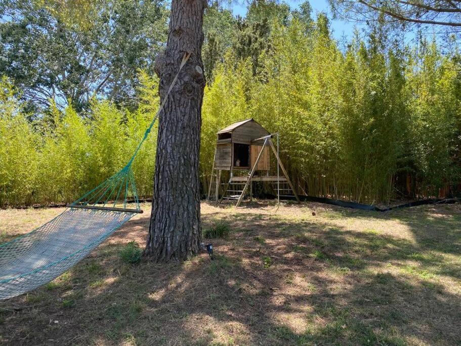 Petit Mas Calme Typique Du Sud ! Villa Valergues Exteriör bild